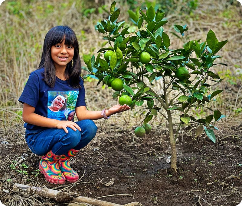 Botanical gardens at Murphslife Farm