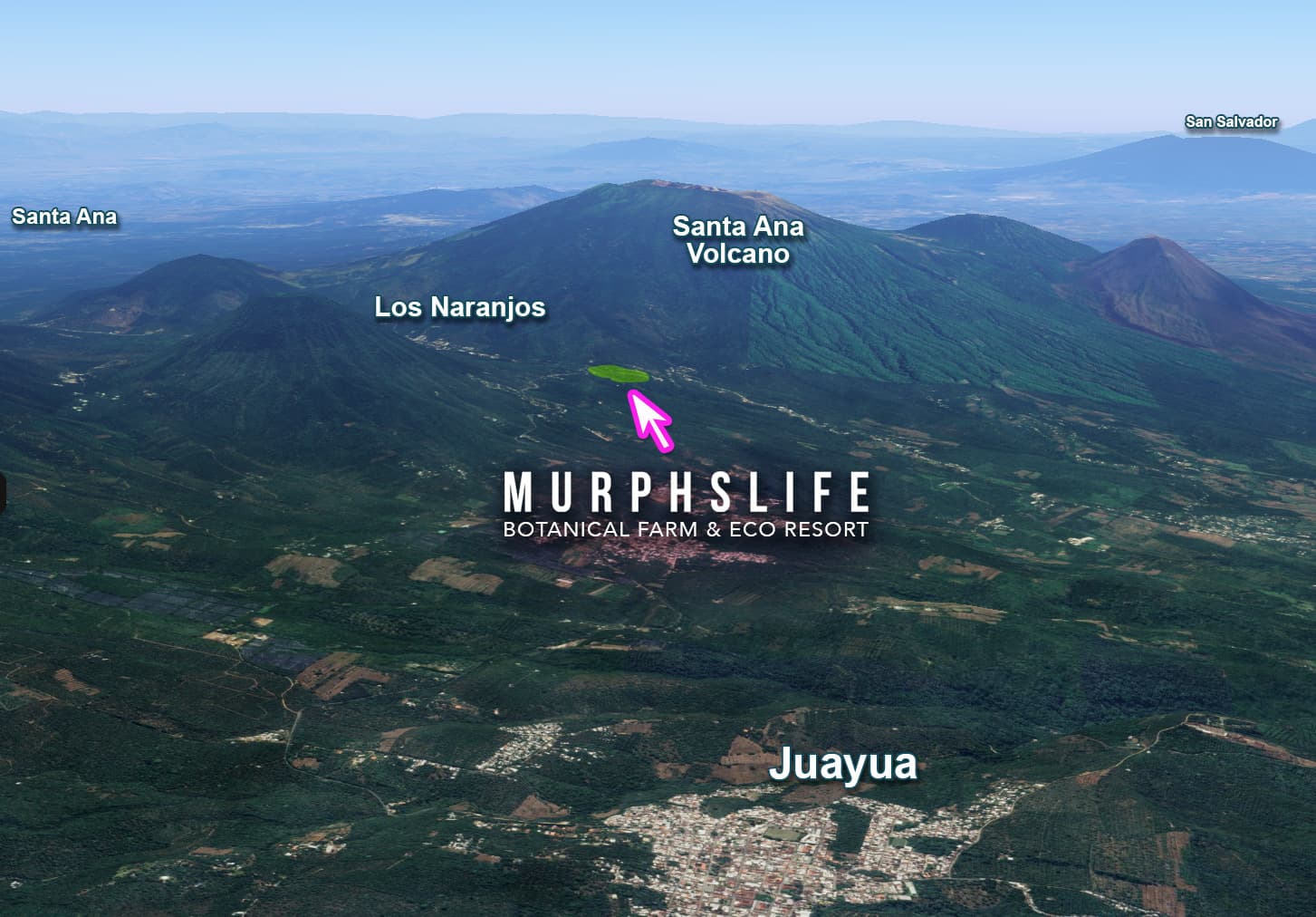 Aerial view of Murphslife Botanical Farm